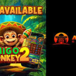Amigo Monkey 2